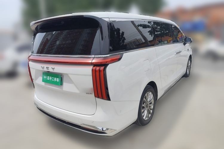Used Wey Gaoshan 2023 Four-Wheel-Drive Executive Extended Version Rear Right 45 Deg
