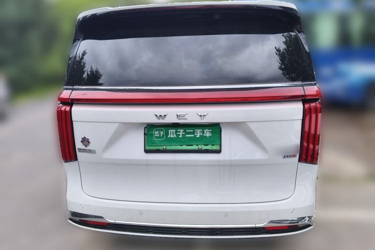 Used Wey Gaoshan 2023 Four-Wheel-Drive Executive Extended Version Rear
