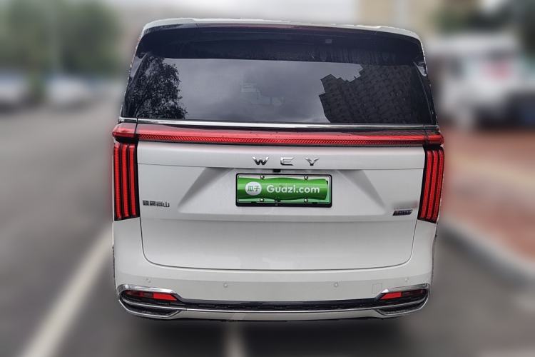 Used Wey Gaoshan 2023 Four-Wheel Drive Flagship Edition Rear