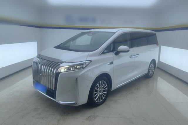 Used Wey Gaoshan 2023 Four-Wheel Drive Flagship Edition