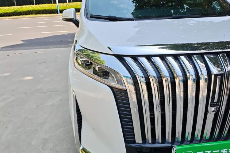 Used Wey Gaoshan 2023 Four-Wheel Drive Flagship Edition Right Front Headlight