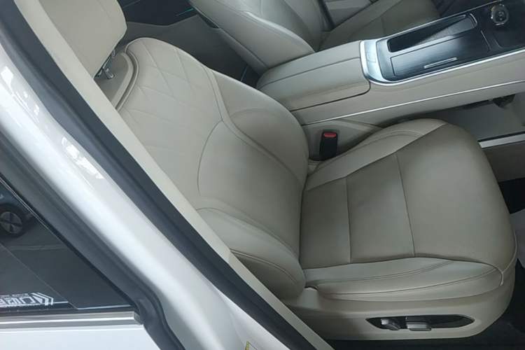 Used Wey Gaoshan 2023 Four-Wheel Drive Flagship Edition Right Front Seat