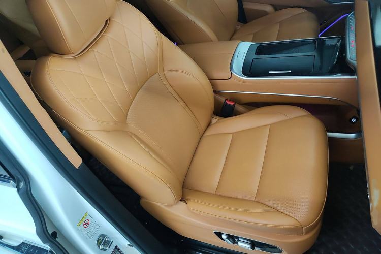 Used Wey Gaoshan 2023 Four-Wheel Drive Flagship Edition Right Front Seat