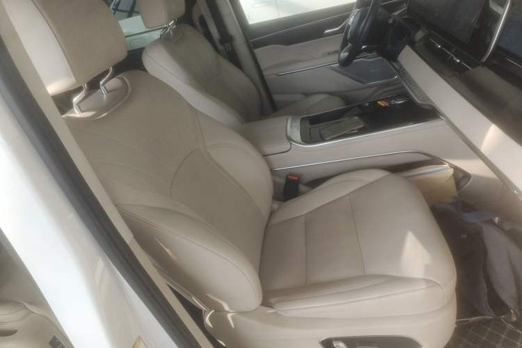 Used Wey Gaoshan 2023 Four-Wheel Drive Flagship Edition Right Front Seat