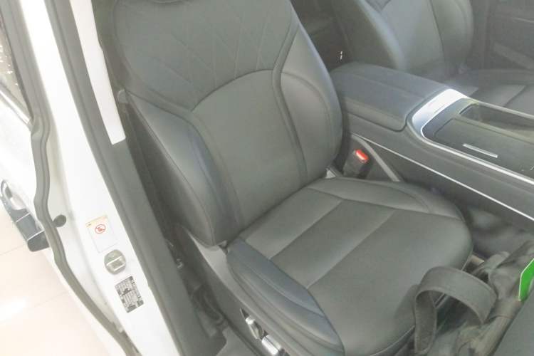 Used Wey Gaoshan 2023 Four-Wheel Drive Flagship Edition Right Front Seat