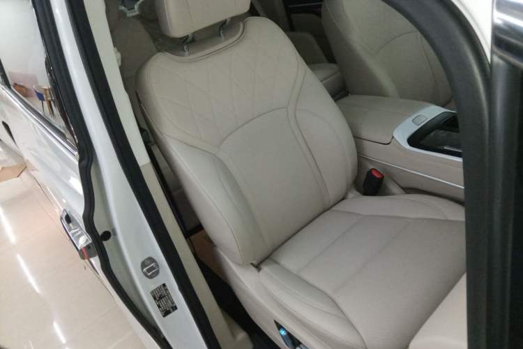 Used Wey Gaoshan 2023 Four-Wheel Drive Flagship Edition Right Front Seat
