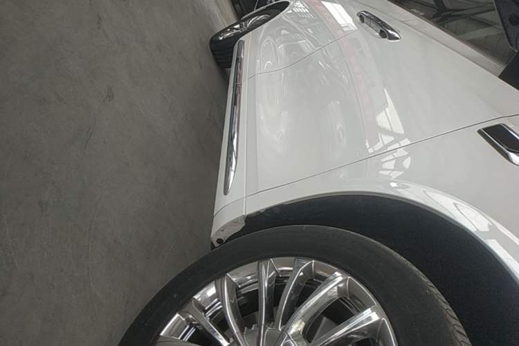 Used Wey Gaoshan 2023 Four-Wheel Drive Flagship Edition Right Side Sill