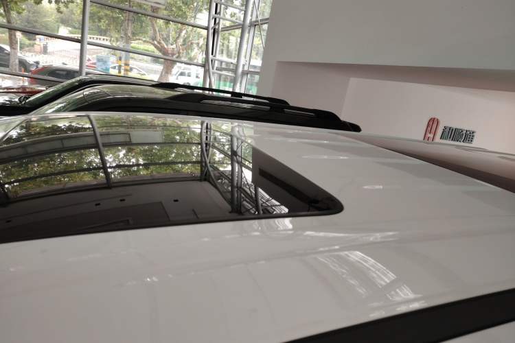 Used Wey Gaoshan 2023 Four-Wheel Drive Flagship Edition Roof