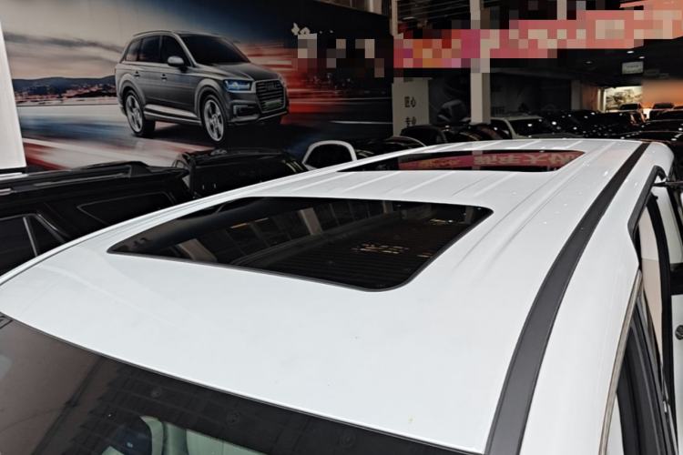 Used Wey Gaoshan 2023 Four-Wheel Drive Flagship Edition Roof