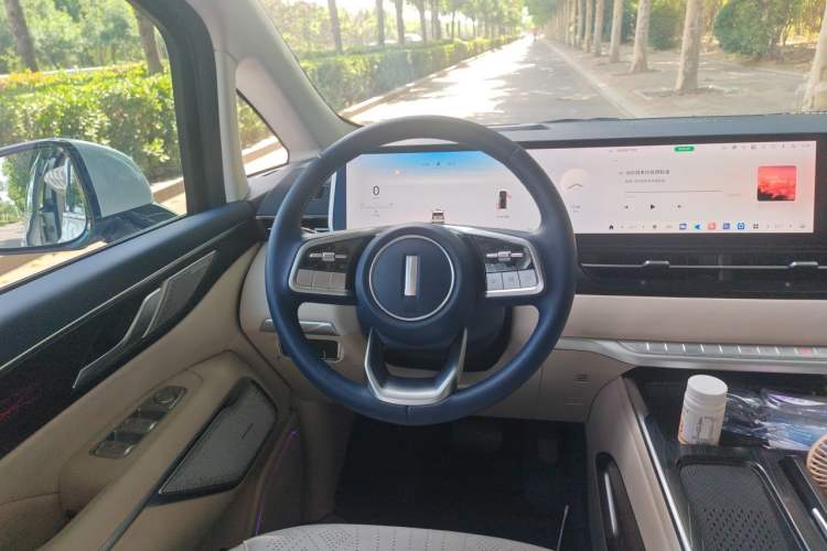Used Wey Gaoshan 2023 Four-Wheel Drive Flagship Edition Steering Wheel