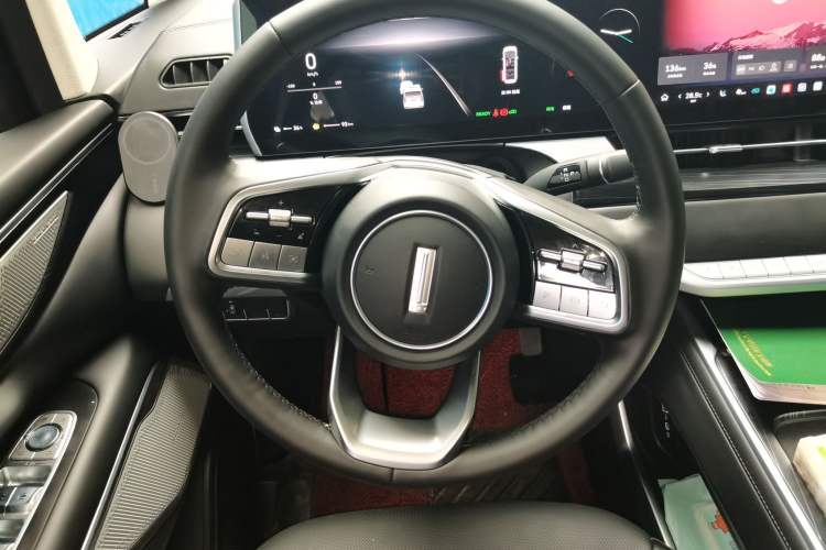 Used Wey Gaoshan 2023 Four-Wheel Drive Flagship Edition Steering Wheel