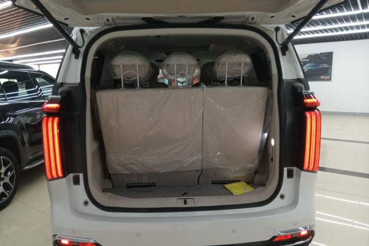 Used Wey Gaoshan 2023 Four-Wheel Drive Flagship Edition Trunk