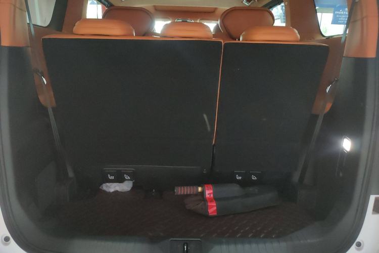 Used Wey Gaoshan 2023 Four-Wheel Drive Flagship Edition Trunk