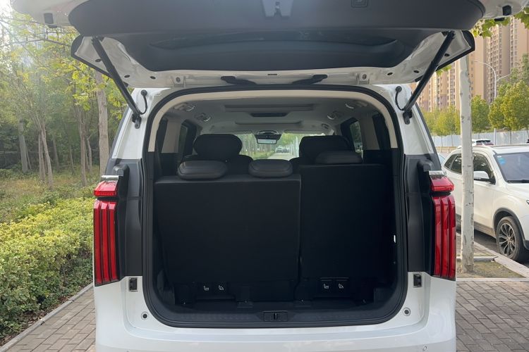 Used Wey Gaoshan 2023 Four-Wheel Drive Flagship Edition Trunk