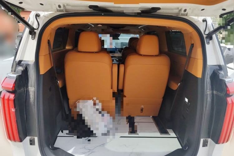 Used Wey Gaoshan 2023 Four-Wheel-Drive Executive Extended Version Trunk