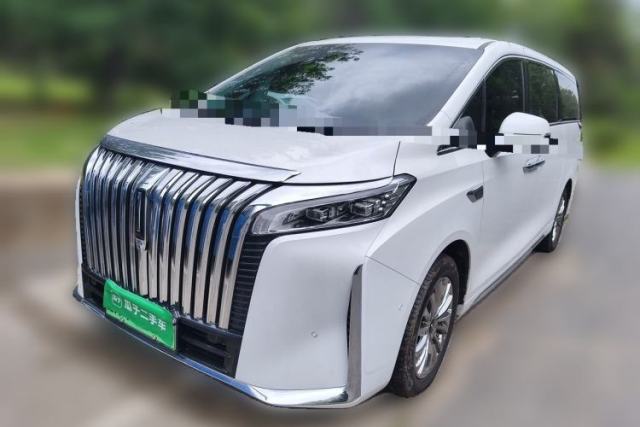 Used Wey Gaoshan 2023 Four-Wheel-Drive Executive Extended Version