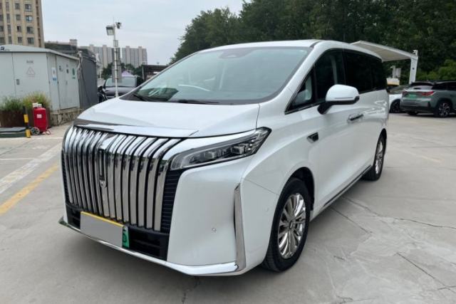 Used Wey Gaoshan 2023 Four-Wheel Drive Flagship Edition