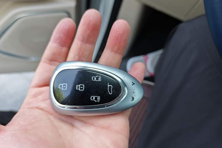 Used Wey Gaoshan 2023 Four-Wheel Drive Flagship Edition Vehicle Key