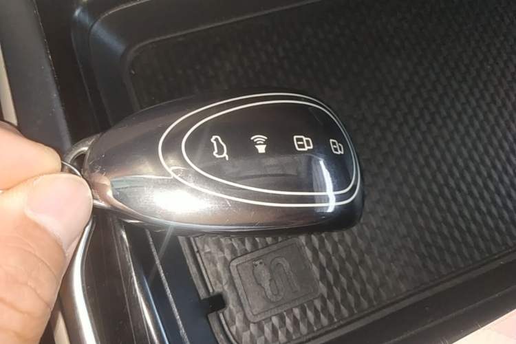Used Wey Gaoshan 2023 Four-Wheel Drive Flagship Edition Vehicle Key