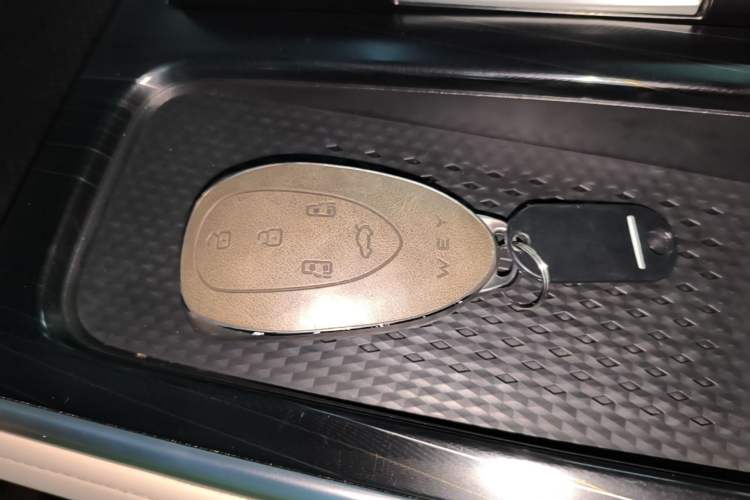 Used Wey Gaoshan 2023 Four-Wheel-Drive Executive Extended Version Vehicle Key