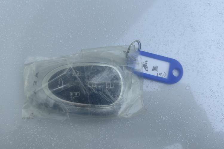 Used Wey Gaoshan 2023 Four-Wheel Drive Flagship Edition Vehicle Key