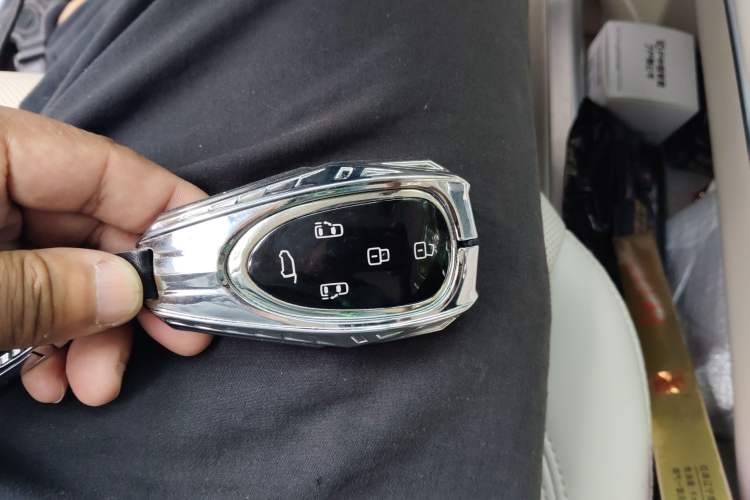 Used Wey Gaoshan 2023 Four-Wheel Drive Flagship Edition Vehicle Key