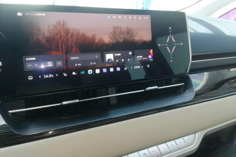 Used Wey Gaoshan 2023 Four-Wheel Drive Flagship Edition Audio And AC Panel