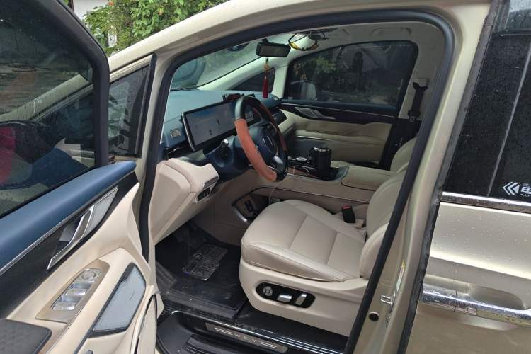 Used Wey Gaoshan 2023 Four-Wheel Drive Flagship Edition Driver Seat