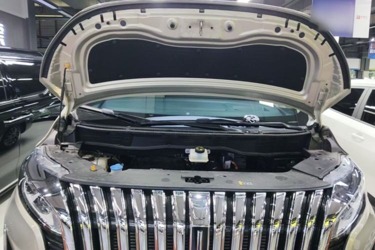 Used Wey Gaoshan 2023 Four-Wheel Drive Flagship Edition Engine Bay
