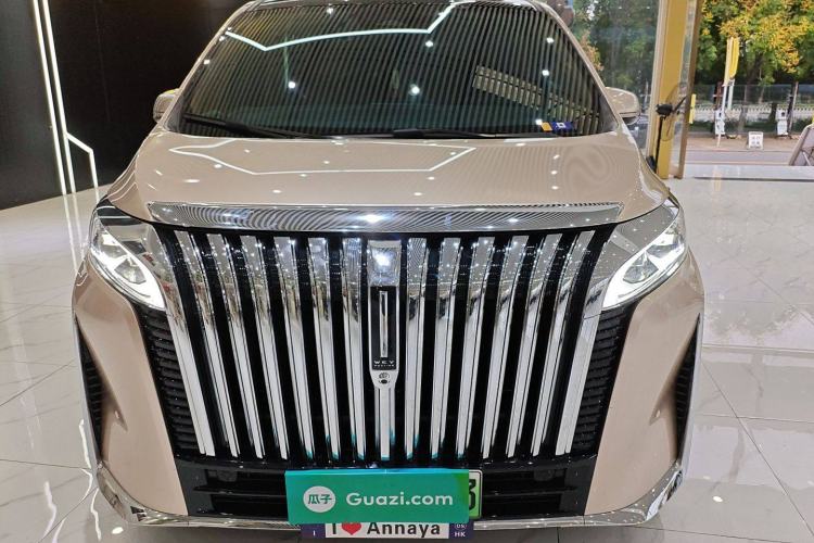 Used Wey Gaoshan 2023 Four-Wheel-Drive Executive Extended Version Exterior 1