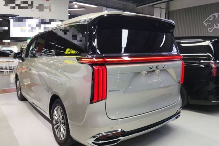 Used Wey Gaoshan 2023 Four-Wheel Drive Flagship Edition Exterior 2