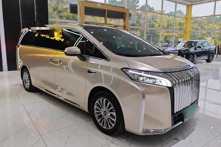 Used Wey Gaoshan 2023 Four-Wheel-Drive Executive Extended Version Exterior 2