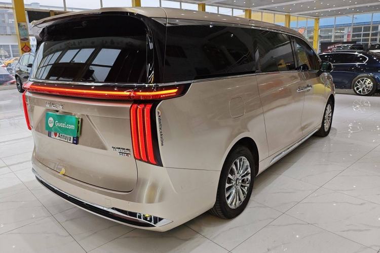 Used Wey Gaoshan 2023 Four-Wheel-Drive Executive Extended Version Exterior 3