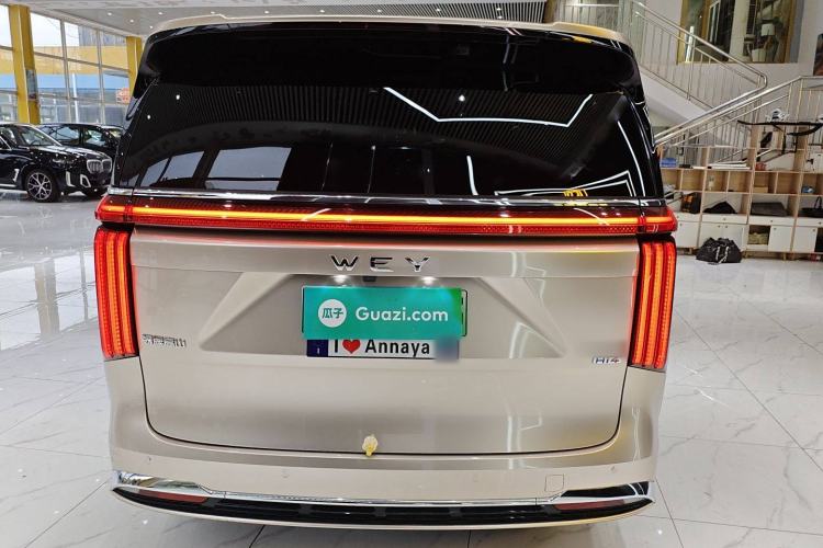 Used Wey Gaoshan 2023 Four-Wheel-Drive Executive Extended Version Exterior 4