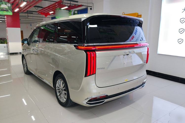 Used Wey Gaoshan 2023 Four-Wheel Drive Flagship Edition Exterior 5