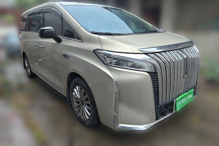 Used Wey Gaoshan 2023 Four-Wheel Drive Flagship Edition Front Right 45 Deg