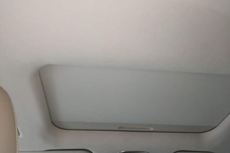 Used Wey Gaoshan 2023 Four-Wheel Drive Flagship Edition Headliner
