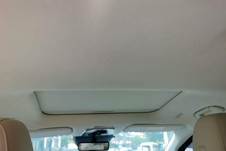 Used Wey Gaoshan 2023 Four-Wheel Drive Premium Edition Headliner