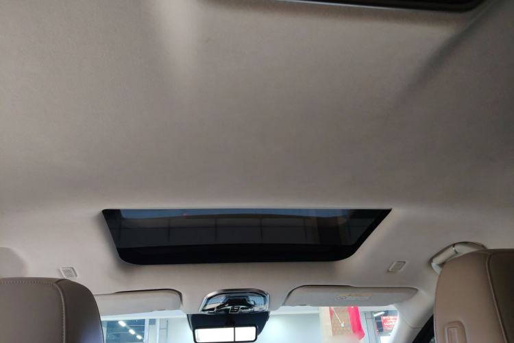 Used Wey Gaoshan 2023 Four-Wheel Drive Flagship Edition Headliner