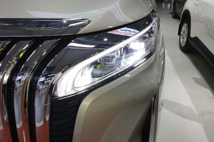 Used Wey Gaoshan 2023 Four-Wheel Drive Flagship Edition Left Front Headlight