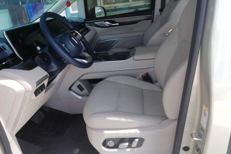 Used Wey Gaoshan 2023 Four-Wheel Drive Flagship Edition Left Front Seat