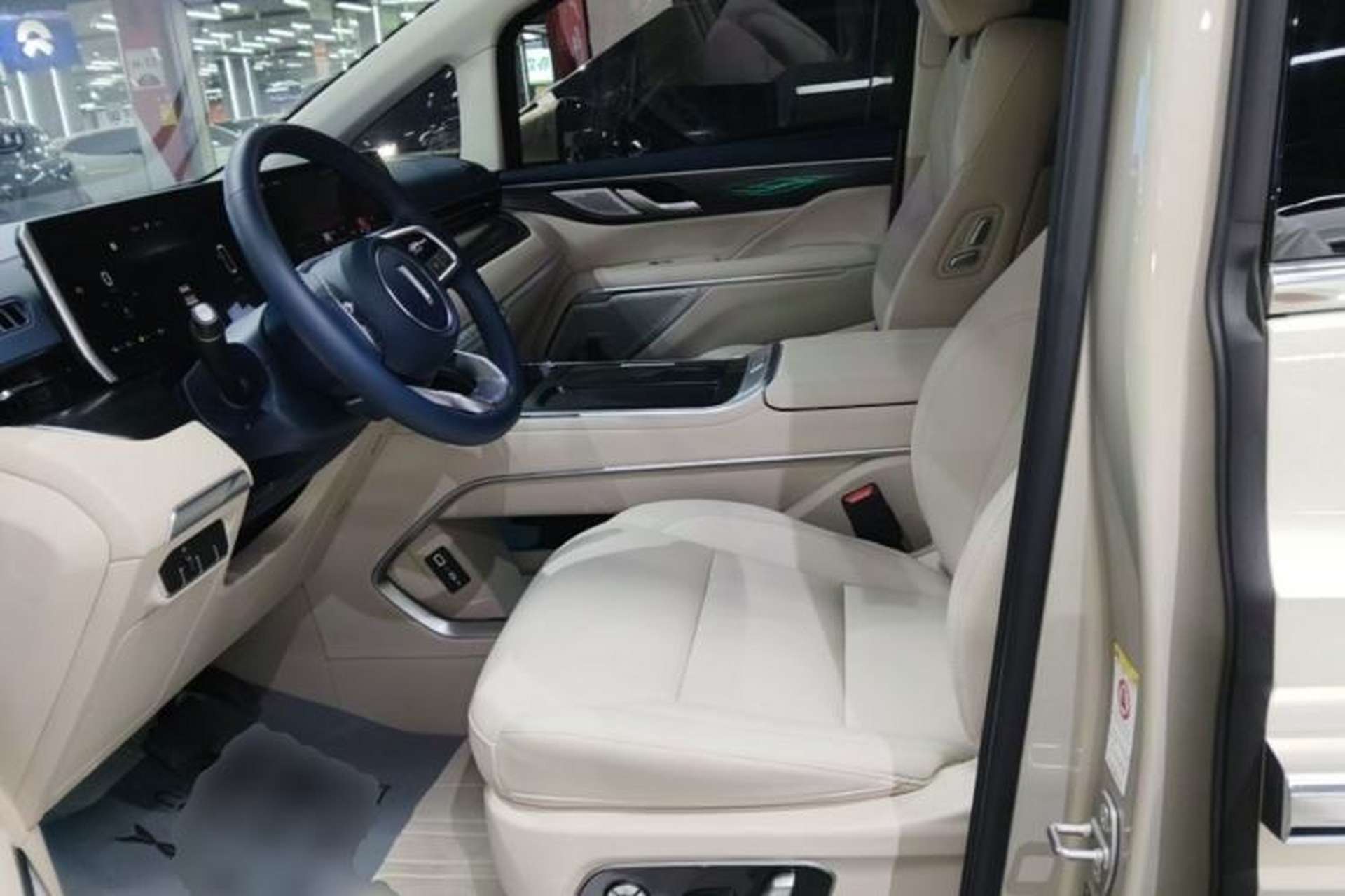 Used Wey Gaoshan 2023 Four-Wheel Drive Flagship Edition Left Front Seat
