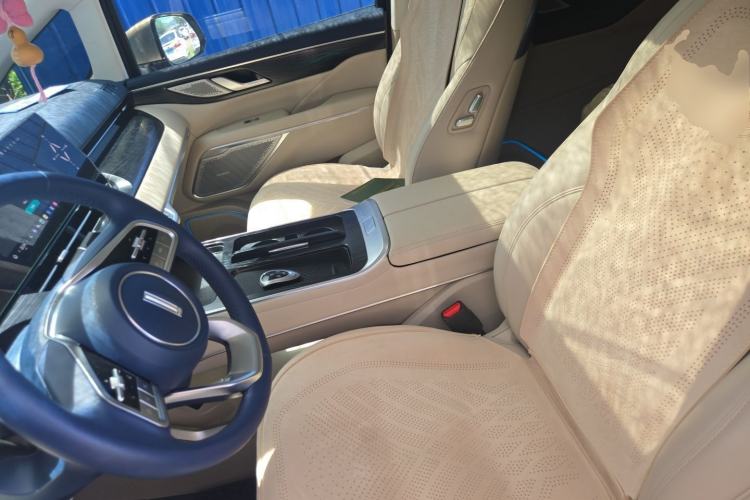 Used Wey Gaoshan 2023 Four-Wheel Drive Flagship Edition Left Front Seat