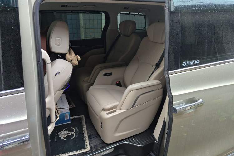 Used Wey Gaoshan 2023 Four-Wheel Drive Flagship Edition Left Rear Seat