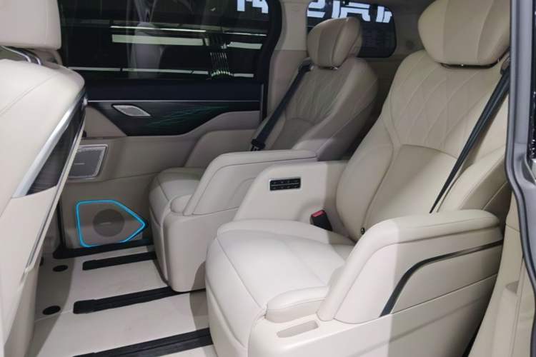 Used Wey Gaoshan 2023 Four-Wheel Drive Flagship Edition Left Rear Seat