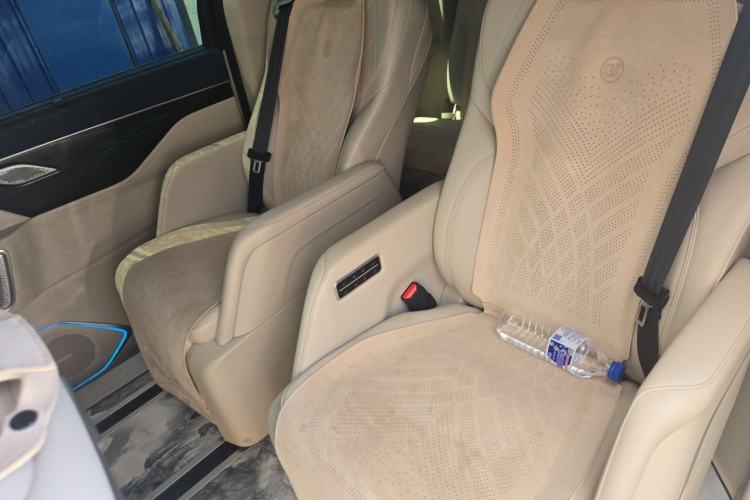 Used Wey Gaoshan 2023 Four-Wheel Drive Flagship Edition Left Rear Seat