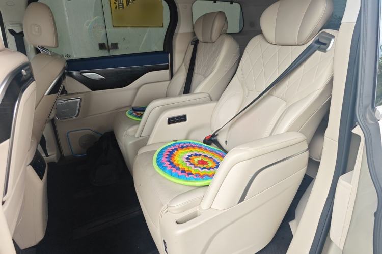 Used Wey Gaoshan 2023 Four-Wheel Drive Flagship Edition Left Rear Seat