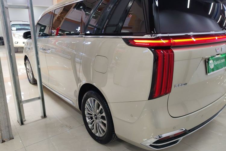 Used Wey Gaoshan 2023 Four-Wheel Drive Flagship Edition Left Side