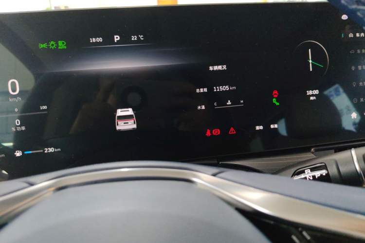 Used Wey Gaoshan 2023 Four-Wheel Drive Flagship Edition Odometer Close Up
