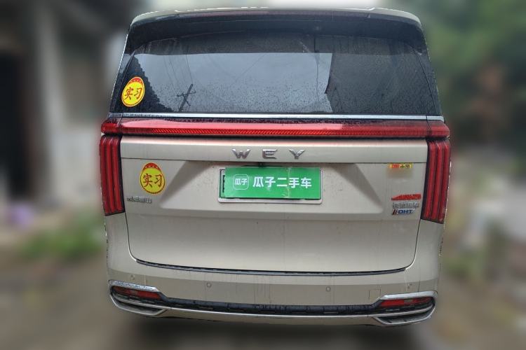 Used Wey Gaoshan 2023 Four-Wheel Drive Flagship Edition Rear